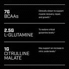 Ellucor C4 Pré-Treino Original em Pó ou Pílulas – Energia e Foco