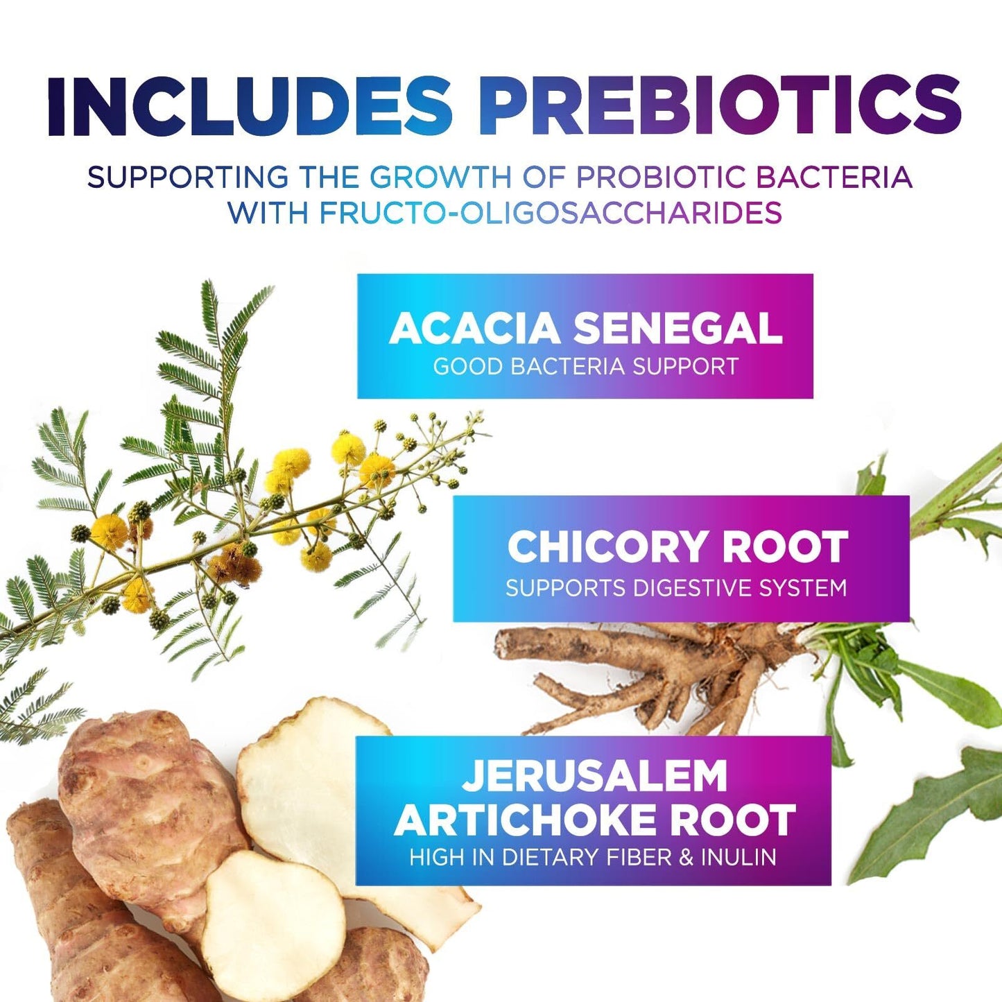 Daily Probiotic 60 Billion CFU – 10 Strains for Digestive Health and Immunity