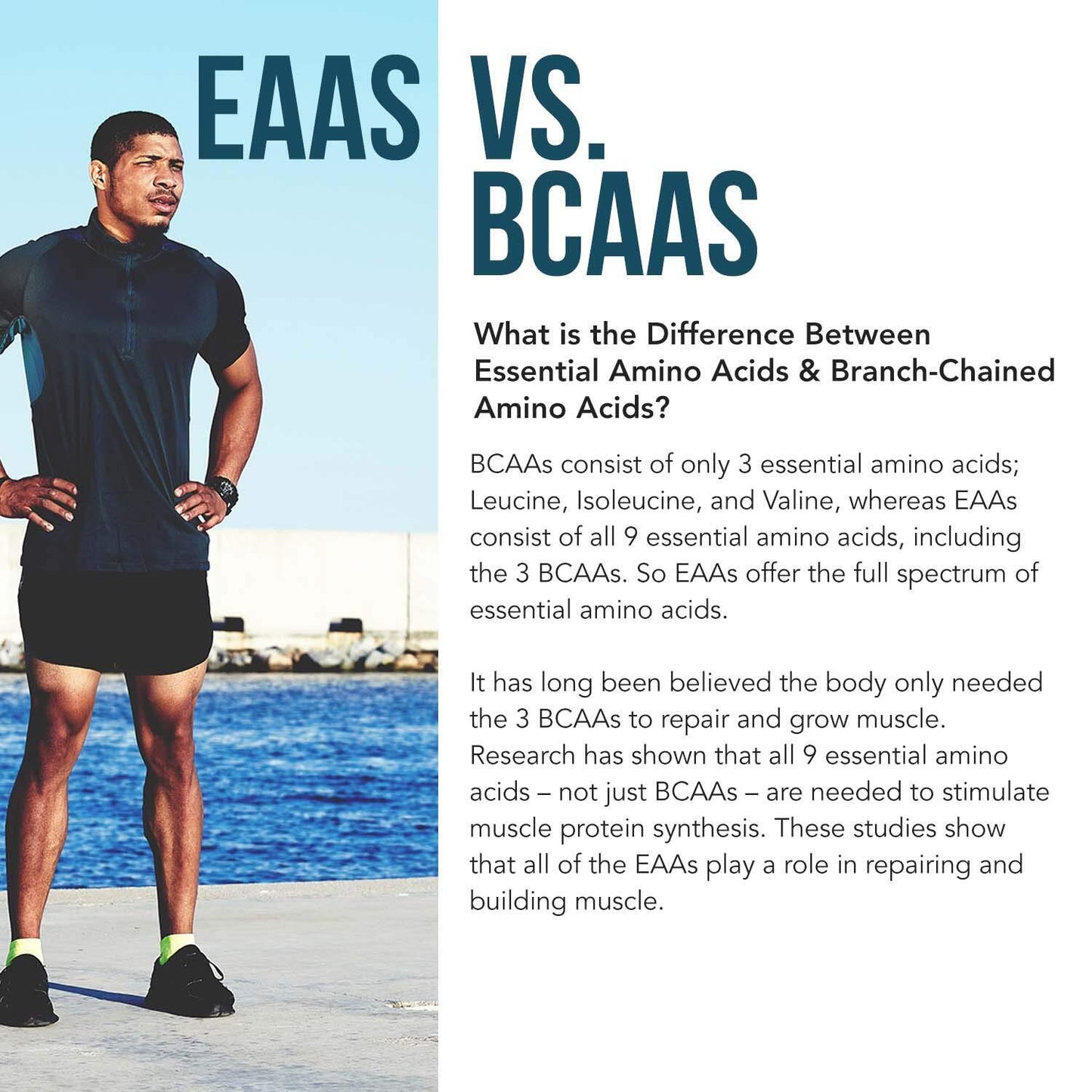 Organic Vegan Essential Amino Acids EAAs and BCAAs 100% Raw – Plant Protein