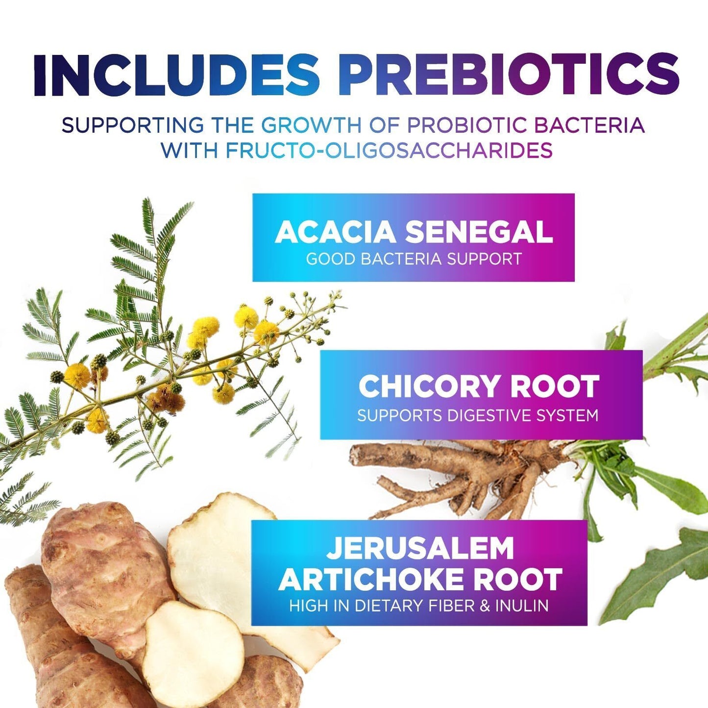 Daily Probiotic 60 Billion CFU – 10 Strains for Digestive Health and Immunity