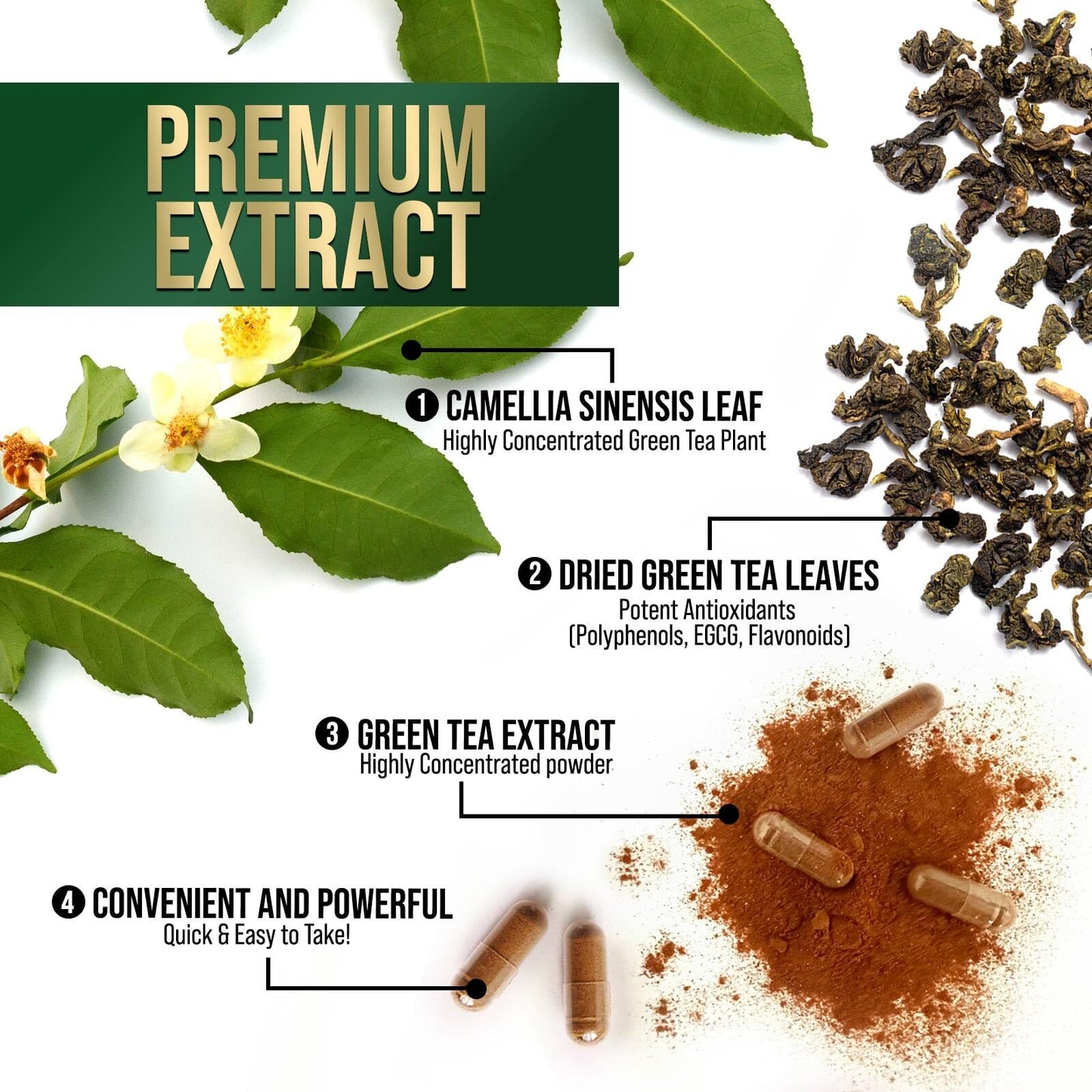 Extrato de Chá Verde 1000mg – Perda de Peso Natural e Aceleração do Metabolismo