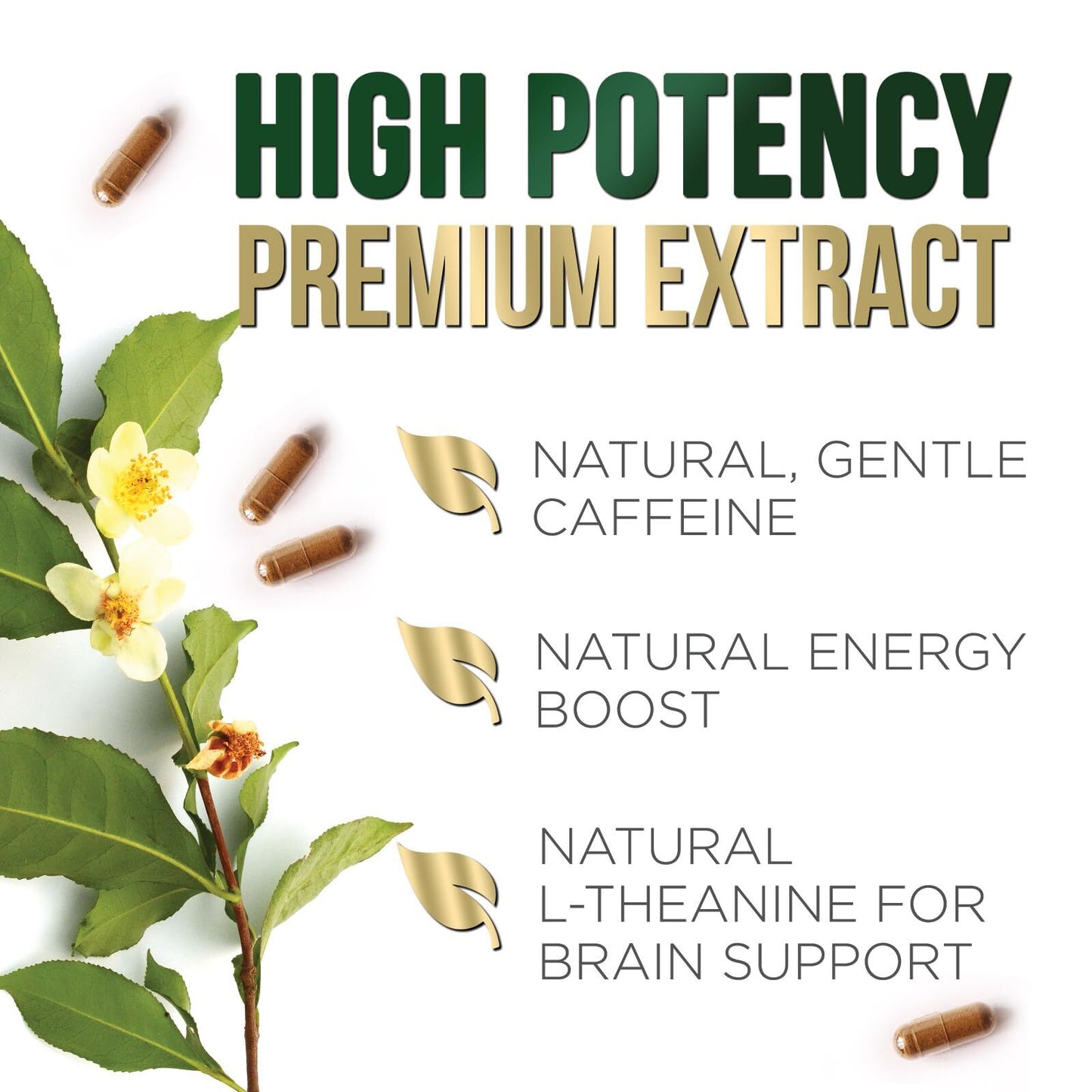 Extrato de Chá Verde 1000mg – Perda de Peso Natural e Aceleração do Metabolismo