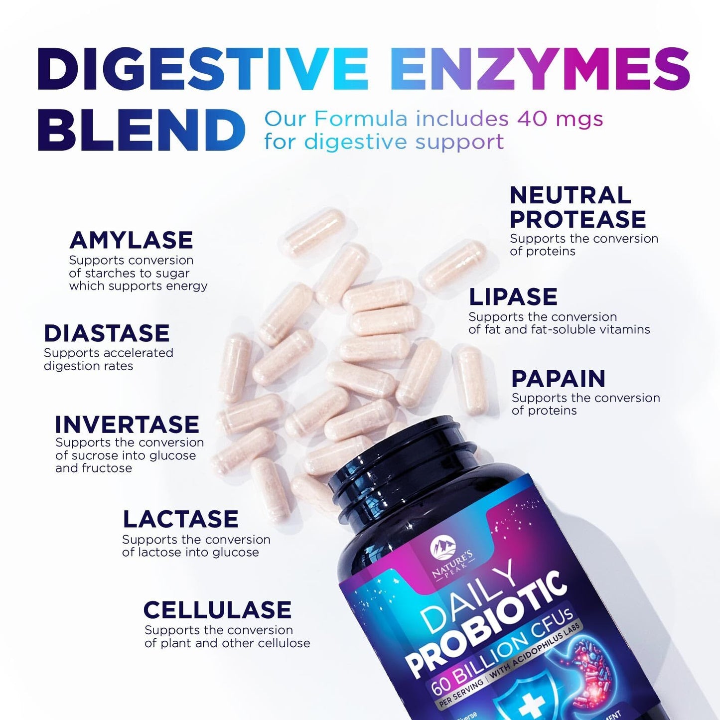 Daily Probiotic 60 Billion CFU – 10 Strains for Digestive Health and Immunity