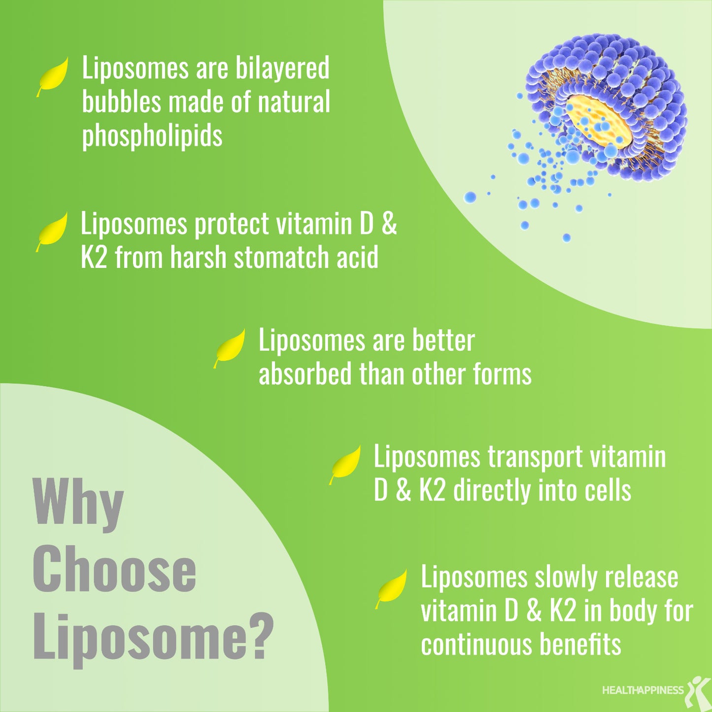 Liposomal Vitamin D3 Supplement 5000 IU + K2 MK7 100 mcg - 365 Softgels