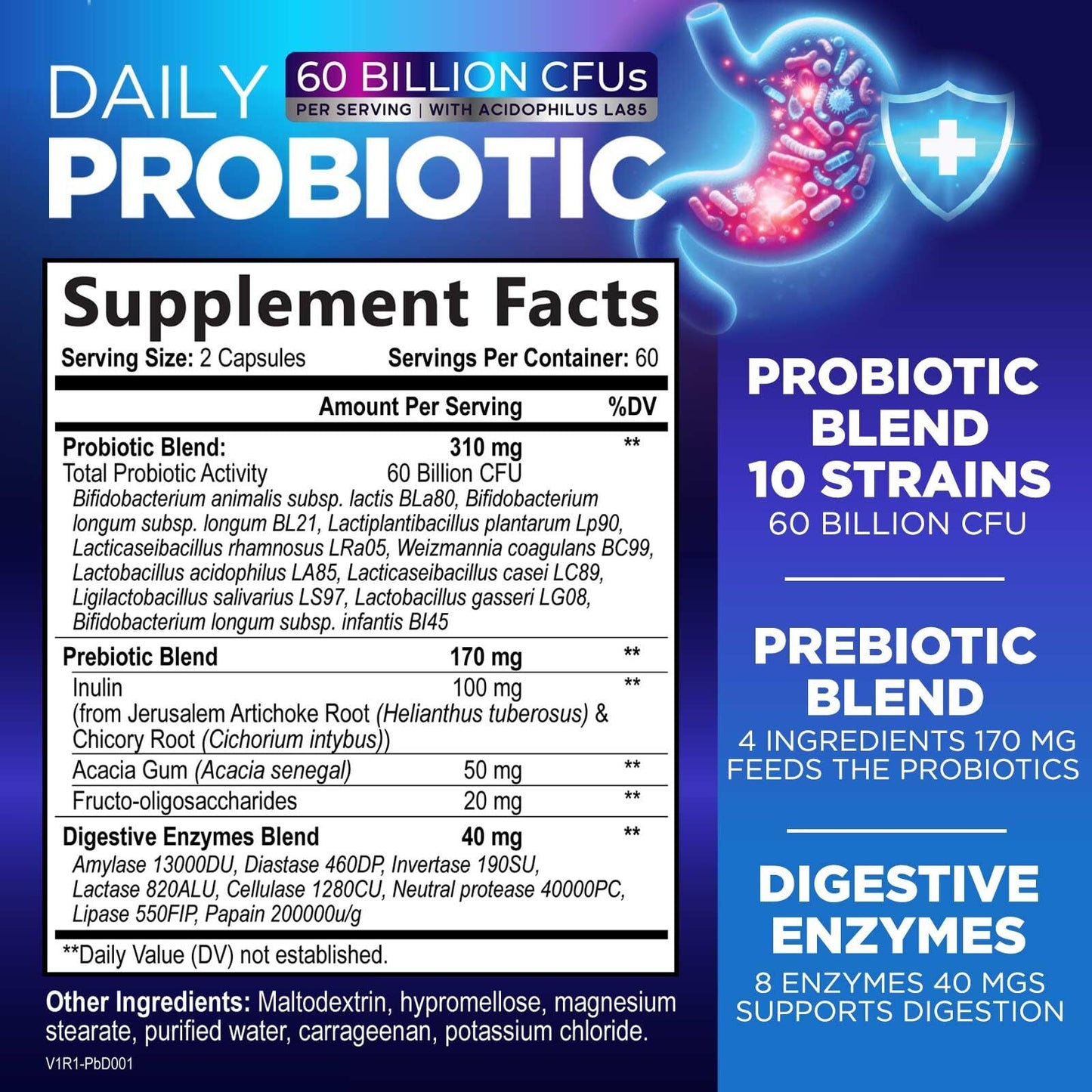 Daily Probiotic 60 Billion CFU – 10 Strains for Digestive Health and Immunity