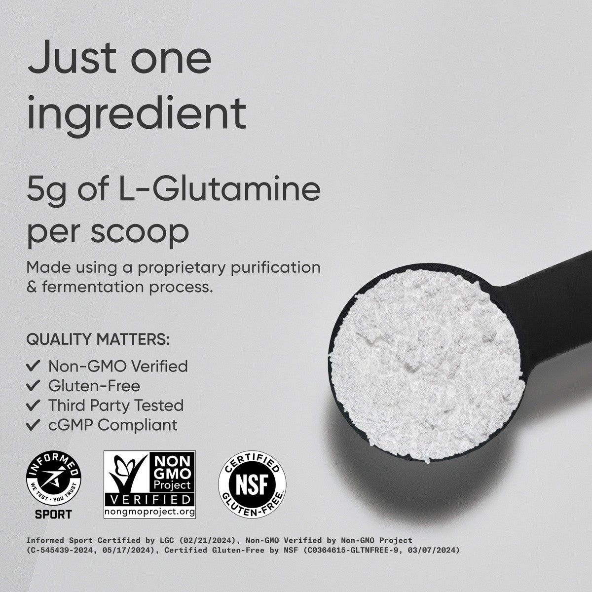 SR L-Glutamine 5g – Recovery, Immunity and Gut Health