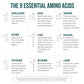 Organic Vegan Essential Amino Acids EAAs and BCAAs 100% Raw – Plant Protein