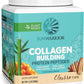 Sunwarrior Collagen Peptides Vegan Protein CHURRO 500g